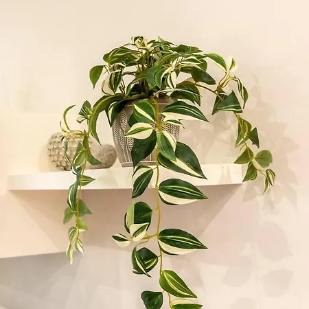 La Deva - Con Garaje Gratuito *